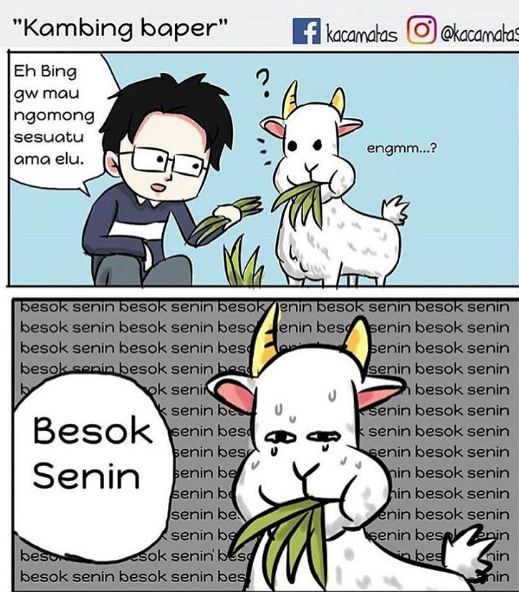 meme perasaan hewan sebelum disembelih 1-12 © 2016 brilio.net