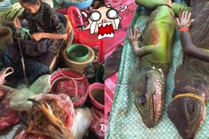 Daging hewan tak lazim konsumsi dijual bebas di pasar ini, apa aja ya?