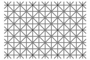 Bisakah kamu melihat 12 titik hitam di gambar ini secara bersamaan?