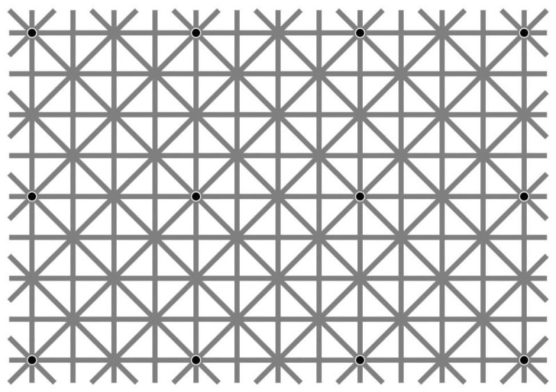 Bisakah kamu melihat 12 titik hitam di gambar ini secara bersamaan?