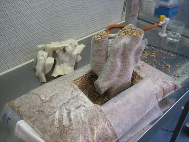 kursi jamur © 2016 brilio.net kursi jamur © 2016 brilio.net