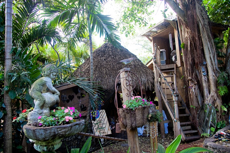Nenek nyentrik ini 25 tahun tinggal di rumah pohon, hippies banget