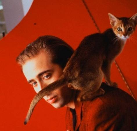 seleb konyol  © 2016 brilio.net seleb konyol  © 2016 brilio.net