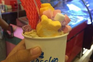 Mau nikmati gelato yang pasti halal di Yogyakarta? Yuk, ke Pistacchio 