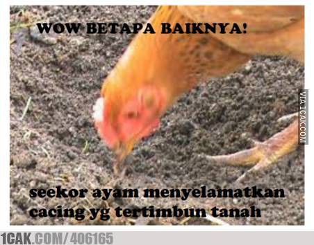 Meme lucu positif thinking © 2016 brilio.net Meme lucu positif thinking © 2016 brilio.net