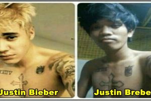 14 Foto kocak perbandingan kemiripan ini bikin ketawa