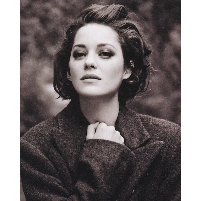 Marion Cotillard © 2016 brilio.net Marion Cotillard © 2016 brilio.net