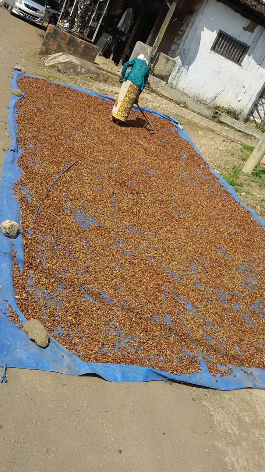 Overdosis Kafein © 2016 brilio.net