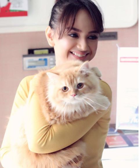 foto ini bukti angelica simperler masih seperti sma © 2016 instagram