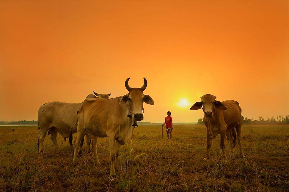 23 Foto menakjubkan kehidupan di pedesaan, bayangin aja udah adem