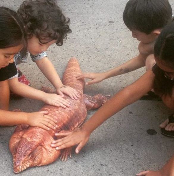 Kadal Raksasa © 2016 Instagram