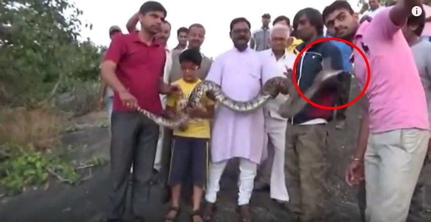 pria ini diterkam ular piton saat hendak selfie © 2016 hi pria ini diterkam ular piton saat hendak selfie © 2016 hi