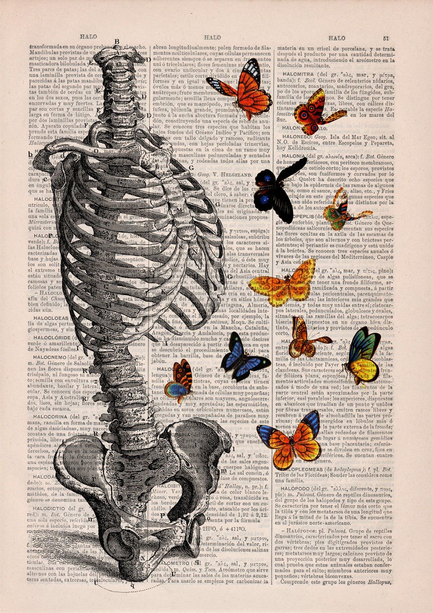 10 Ilustrasi anatomi tubuh pada kamus tak terpakai ini keren parah