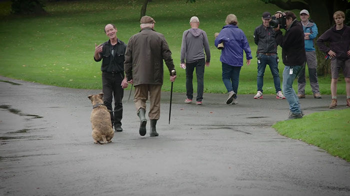 Anjing transformer 5 © 2016 berbagai sumber Anjing transformer 5 © 2016 berbagai sumber