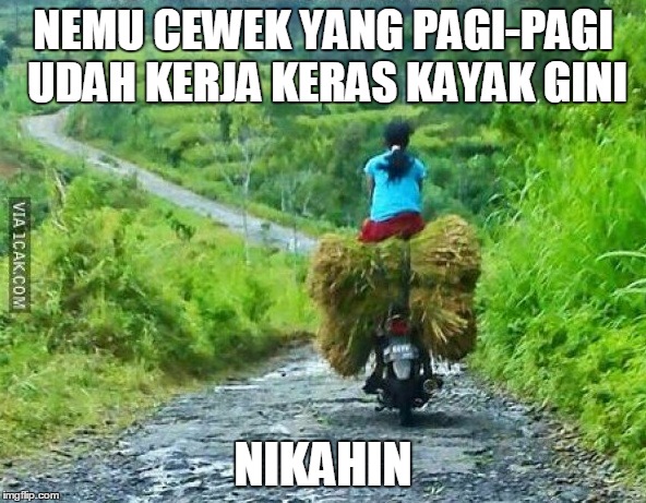 nikahin aja © 2016 brilio.net nikahin aja © 2016 brilio.net