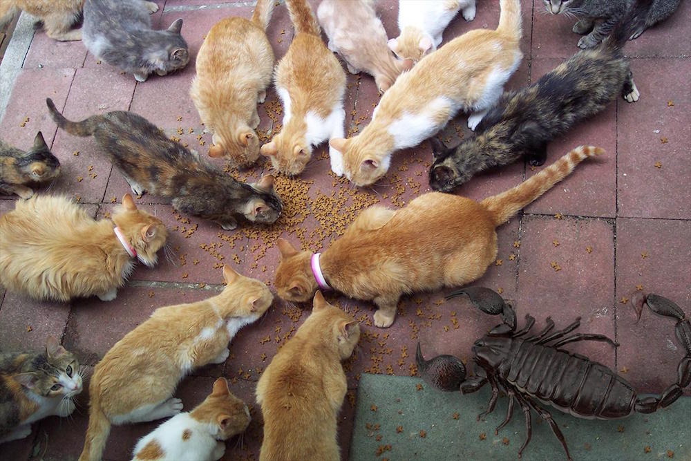 Kevin © 2016 brilio.net