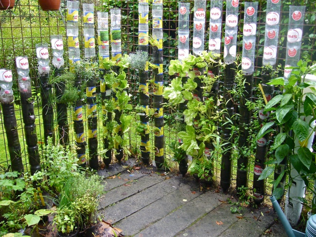 15 Ide kreatif untuk taman rumahmu agar tampak seperti 'surga kecil'