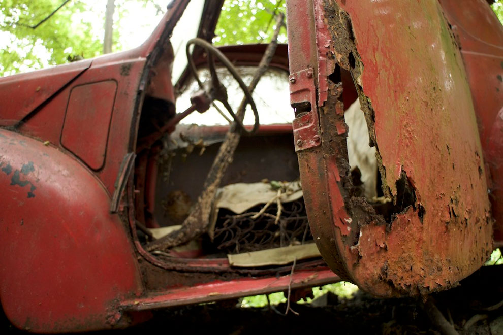 mobil dihutan © 2016 brilio.net mobil dihutan © 2016 brilio.net