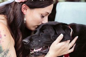 Kisah anjing melawan tumor 15 tahun demi lihat majikan menikah