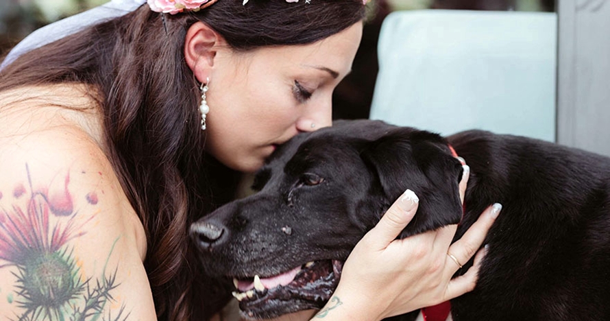 Kisah anjing melawan tumor 15 tahun demi lihat majikan menikah