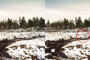 Percaya atau nggak, ada sniper di 10 gambar ini