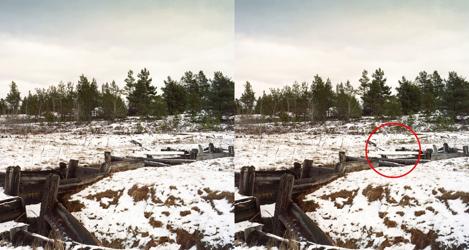 Percaya atau nggak, ada sniper di 10 gambar ini