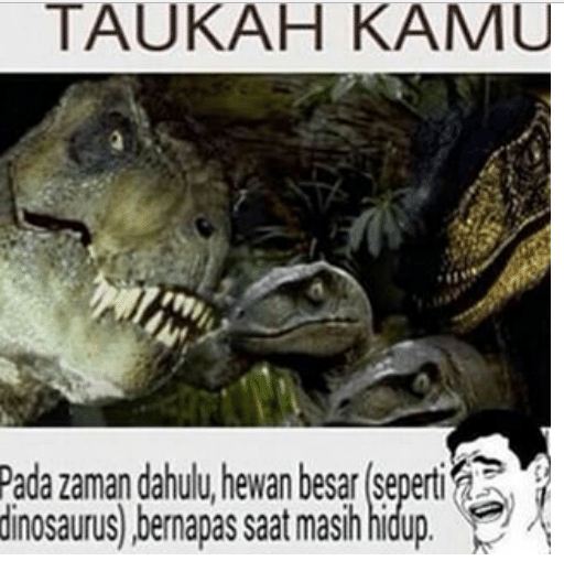 meme tahukah kamu © 2016 brilio.net