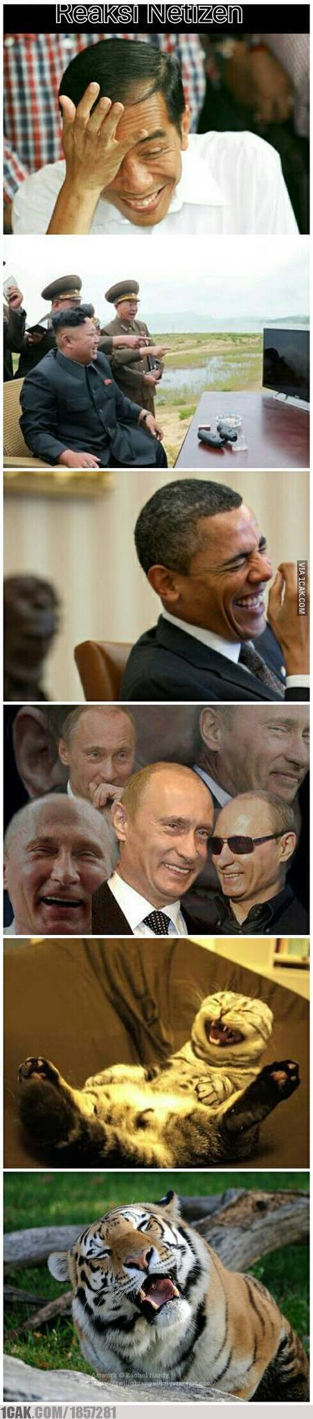 Asal usul Norwegia © 2016 brilio.net / 1cak.com