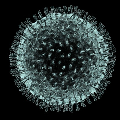 12 Foto virus ini dijamin bikin hatimu berdebar-debar