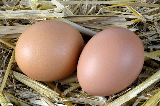 Telur ternyata bagus banget untuk wanita hamil, begini penjelasannya