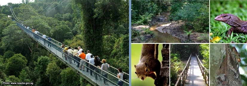 wisata ekstrem singapura Istimewa