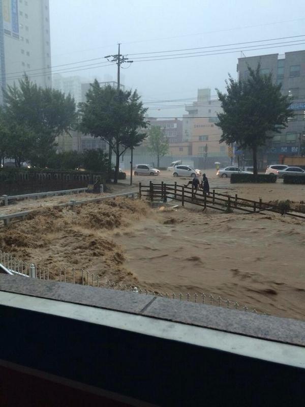 10 Foto dan video mengerikan dan dahsyatnya topan di Busan, Korsel