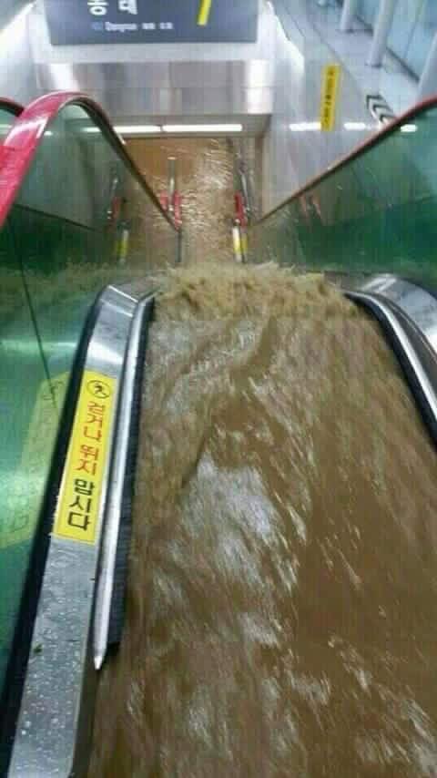 topan busan © 2016 brilio.net topan busan © 2016 brilio.net