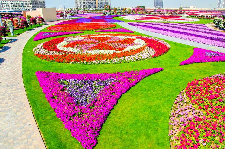 15 Foto indahnya taman bunga di Dubai, dijuluki taman keajaiban