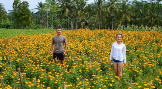 pasangan seleb traveling © 2016 brilio.net pasangan seleb traveling © 2016 brilio.net