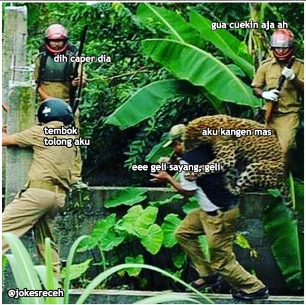 Obrolan humor ringan © 2016 jokesreceh