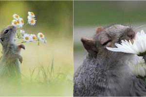 14 Potret hewan mencium bunga ini ngegemesin banget