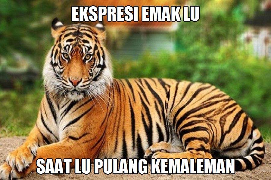 Meme serba emak © 2016 brilio.net