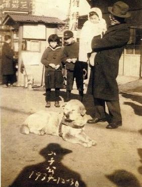 Foto terakhir Hachiko © 2016 berbagai sumber
