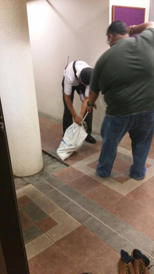 Ular piton di kampus © 2016 facebook/The Nanyang Chronicle Ular piton di kampus © 2016 facebook/The Nanyang Chronicle