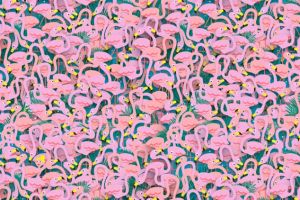 Kamu bisa melihat penari balet di antara flamingo ini?