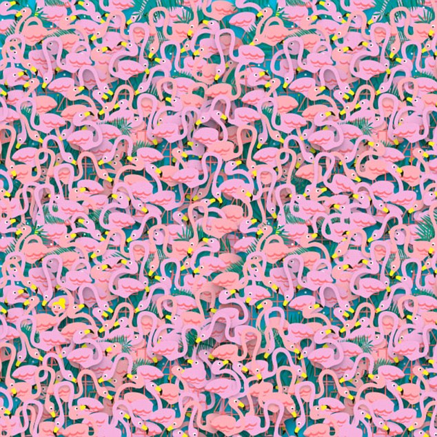 Kamu bisa melihat penari balet di antara flamingo ini?