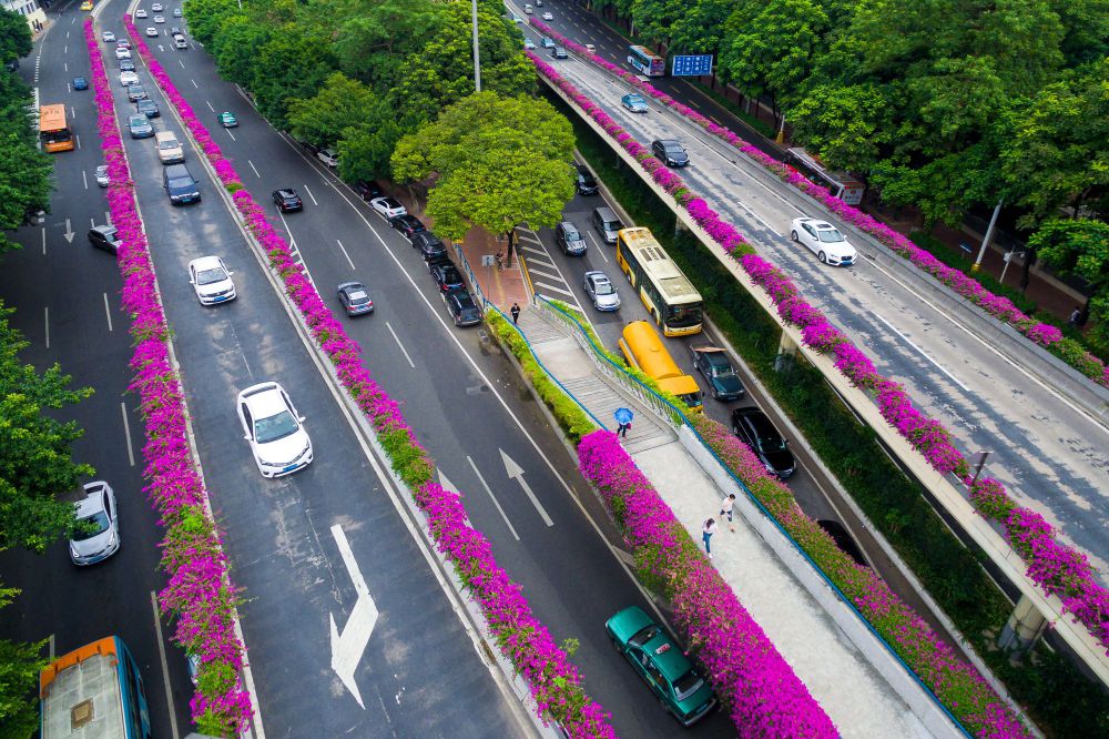 9 Foto cantiknya jalanan China, ditumbuhi bunga serasa di taman kota