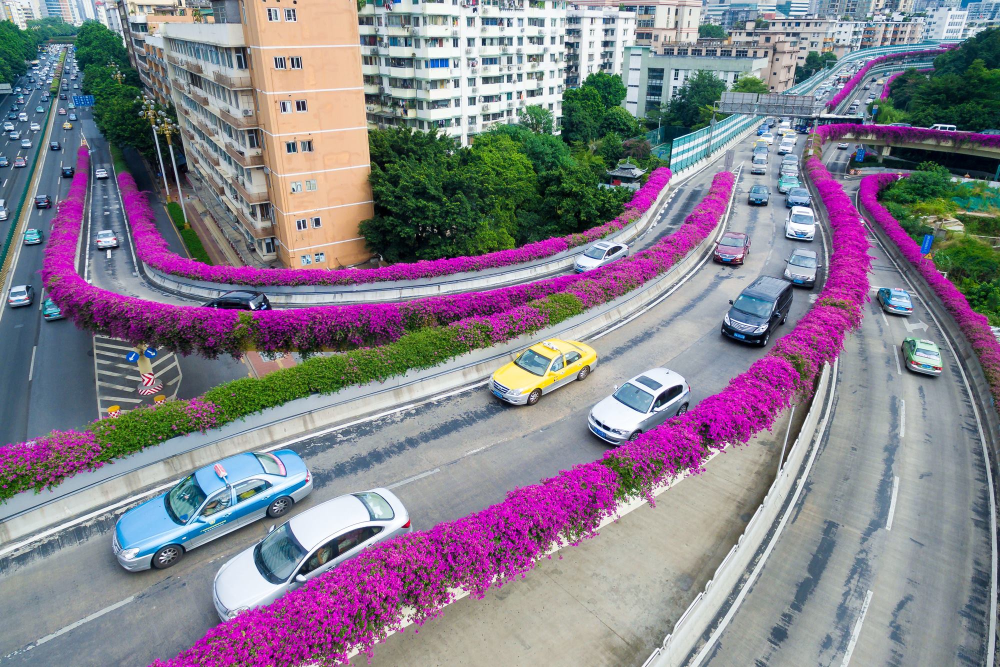 9 Foto cantiknya jalanan China, ditumbuhi bunga serasa di taman kota