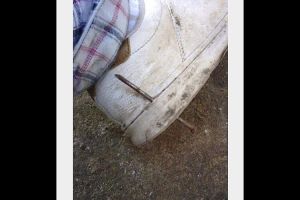 12 Momen keberuntungan yang pernah kamu alami sekali seumur hidup