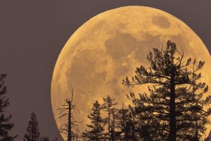 Catat kalendermu, di tanggal ini fenomena bersejarah akan menyapa bumi