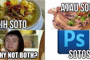 10 Meme kocak 'pilih dua-duanya' ini bikin senyum-senyum sendiri