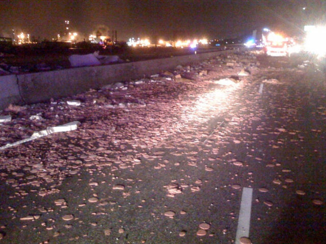 hewan dan makanan tumpah  © 2016 brilio.net