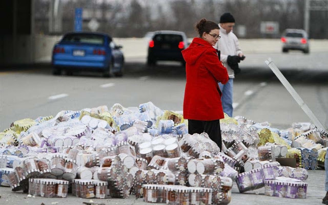 hewan dan makanan tumpah  © 2016 brilio.net