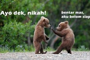 15 Meme ekspresi beruang ini juga kocak, nggak kalah sama kucing